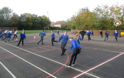 Investigating Fitness in Science