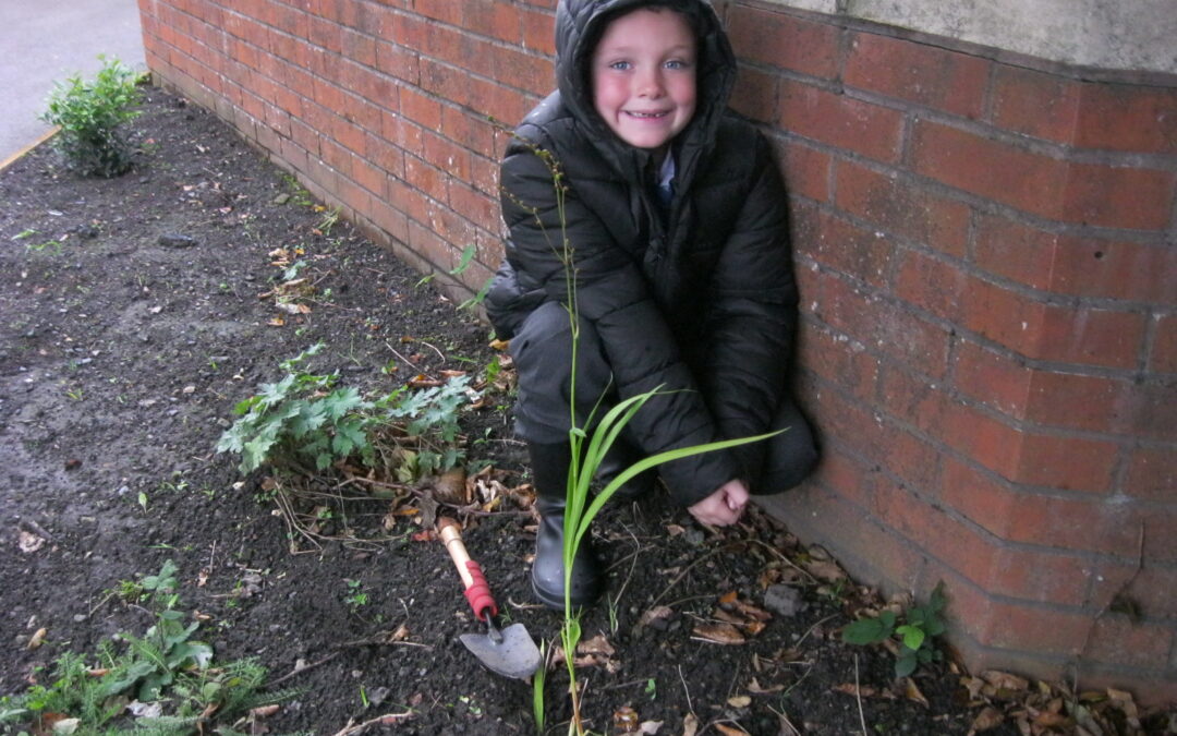 Plant Power!
