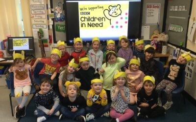 Dragonflies support Children in Need