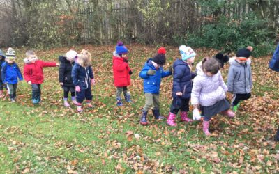 Dragonflies are Nature Detectives