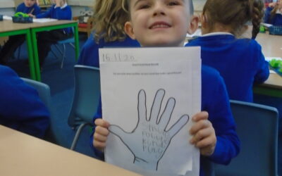 Owls and Robins are the best of friends