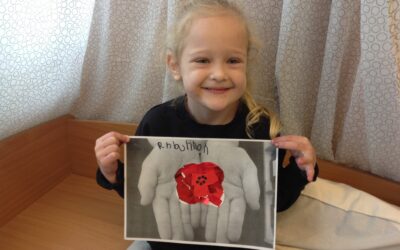 Ladybirds Remembrance