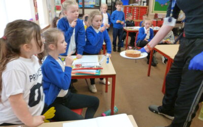 Cake Fractions with Bluebells