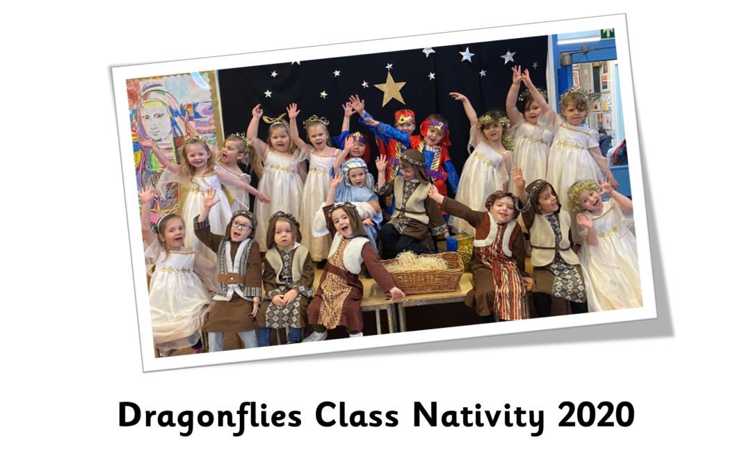Nativity Photographs