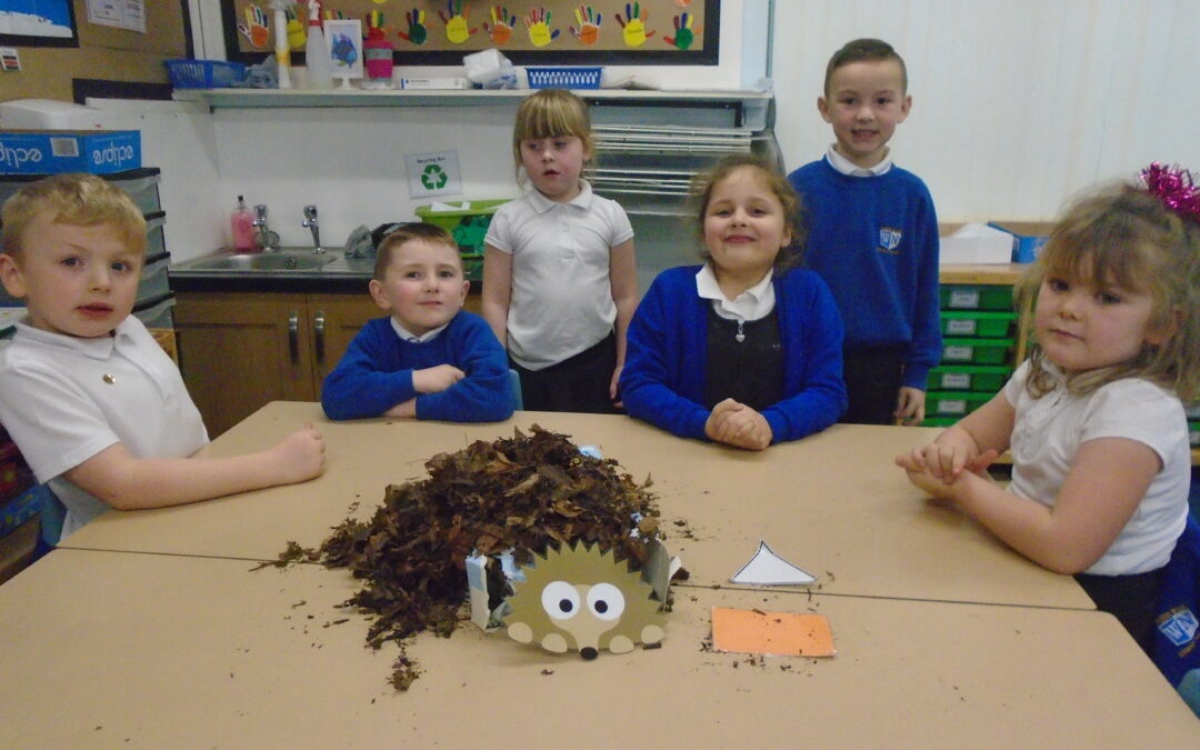 Hedgehog Homes