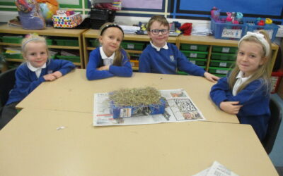 Making hedgehog homes