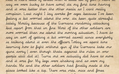 Life in the Trenches (WW1 Diary Entries)