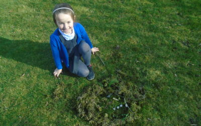 Outdoor learning in the Robins!