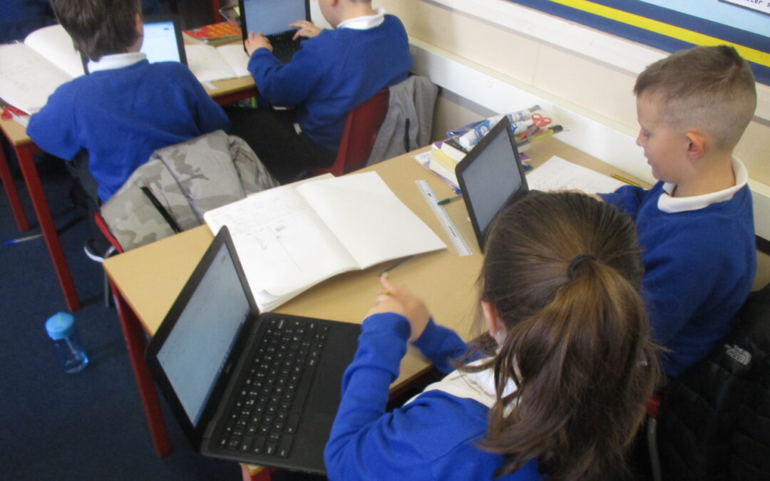 Data Handling in Snowdrops