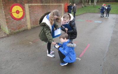 Tulips Search for Instructions