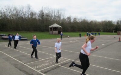 Investigating Exercise