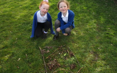 Learning about team work in Nightingales