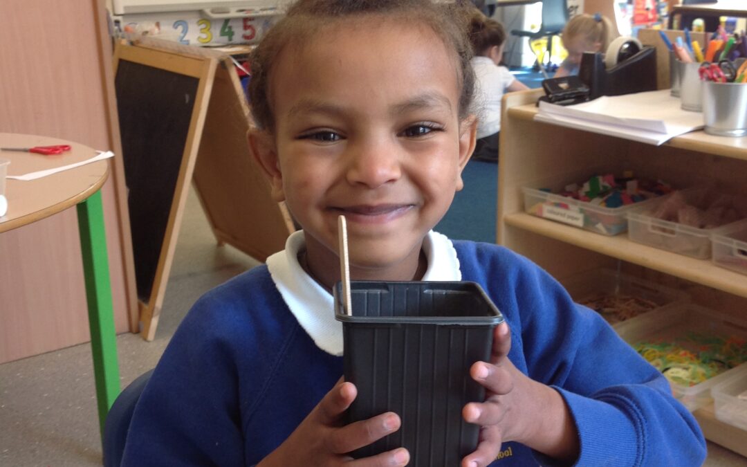 Ladybirds Springing into Spring