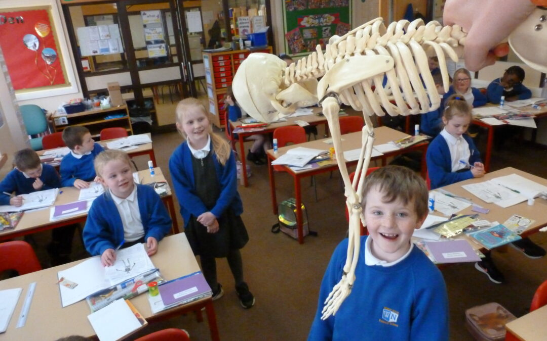 Fred the Skeleton Drops By