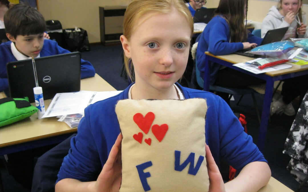 DT in UKS2: Cushions