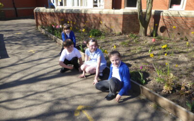 Gardening Club in the Bees