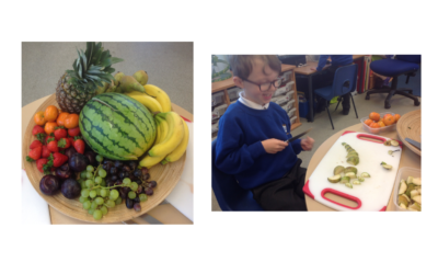 Fruit tasting in the Dragonflies