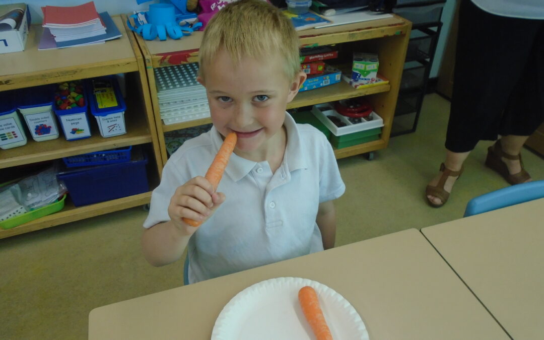 Fantastic Fruit Salads!