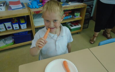 Fantastic Fruit Salads!