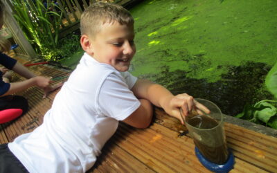 Beeches Visit the Revamped School Pond