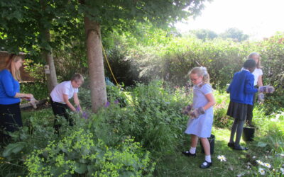 Gardening club!