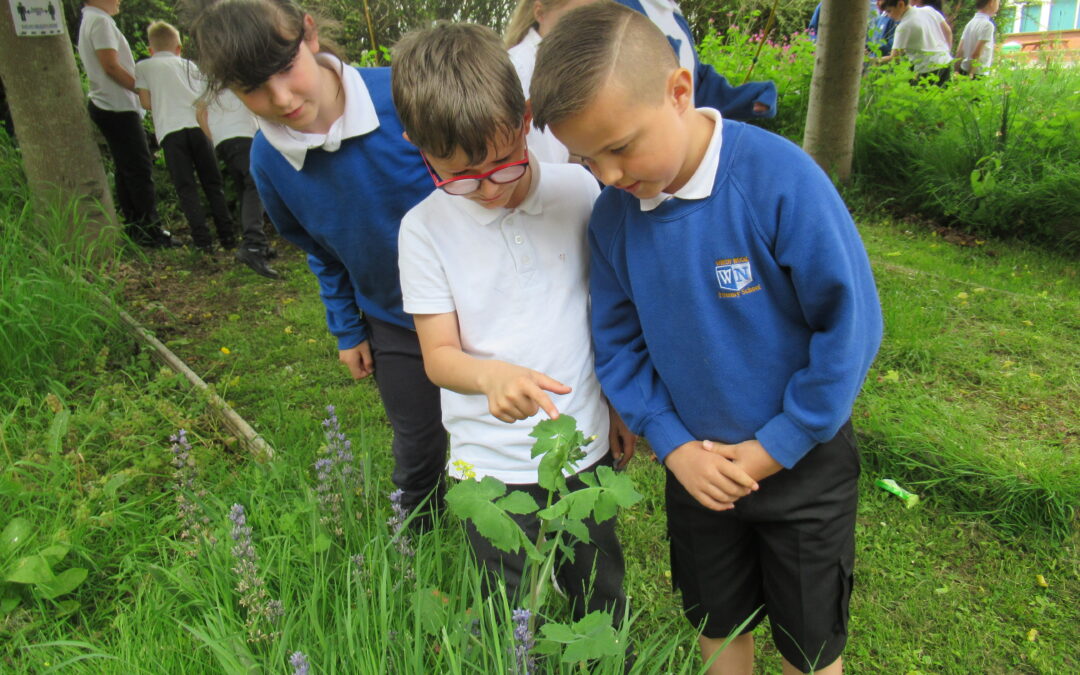 Flower Power in LKS2