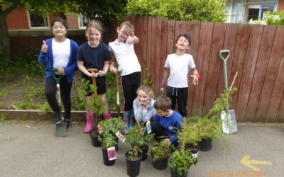 Bees Gardening Club Donations!