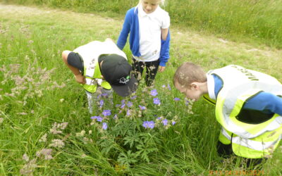 Visit to Windy Nook Nature Park and St Alban’s Church