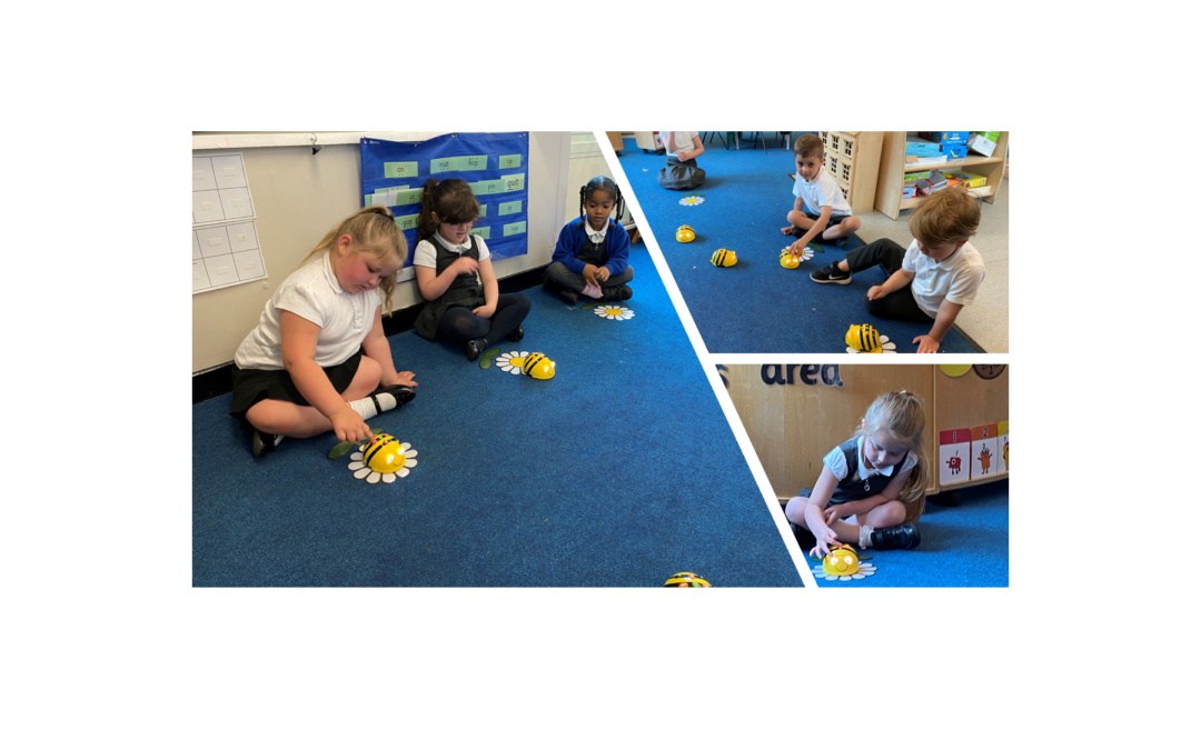 Dragonflies are Busy Bees!