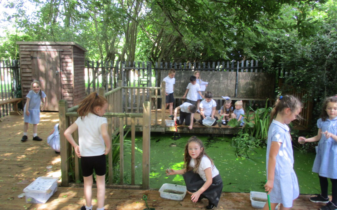 Nightingales go pond dipping!