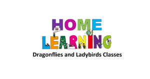 Dragonflies Home Learning 20.07.21