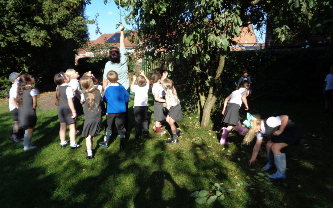 Foragers in Nightingales!