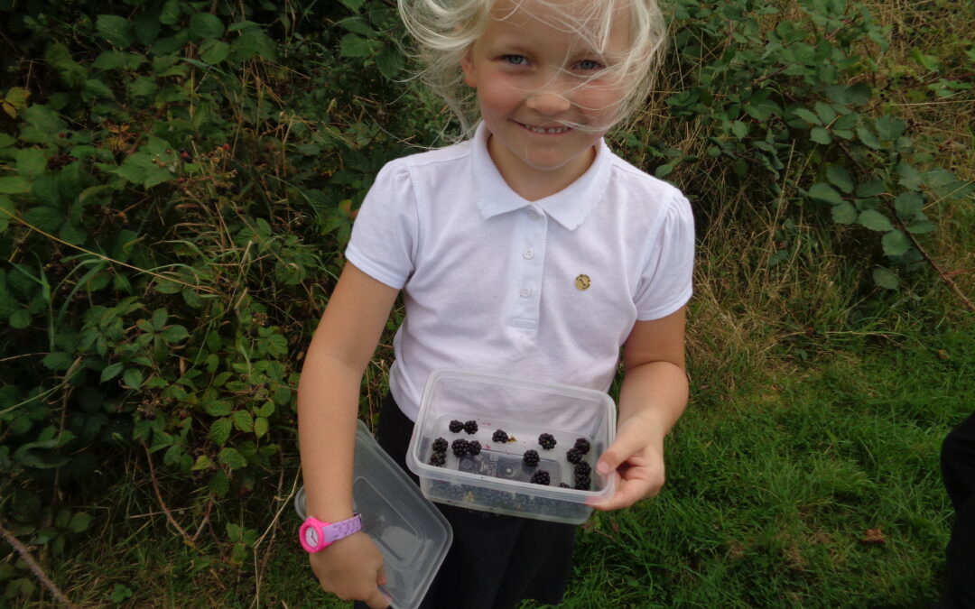 Autumn Foraging in Nightingales