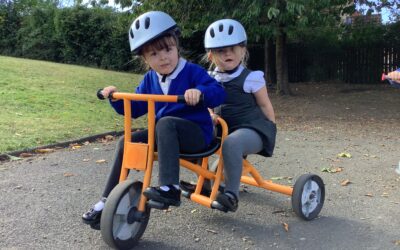 A great start in the Dragonflies!