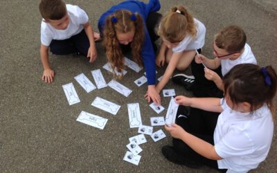 Owls order numerals and words