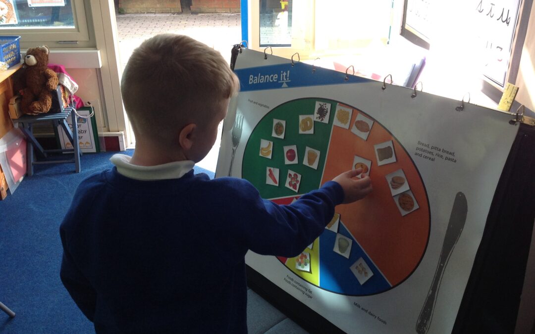 Owls learn all about a healthy diet