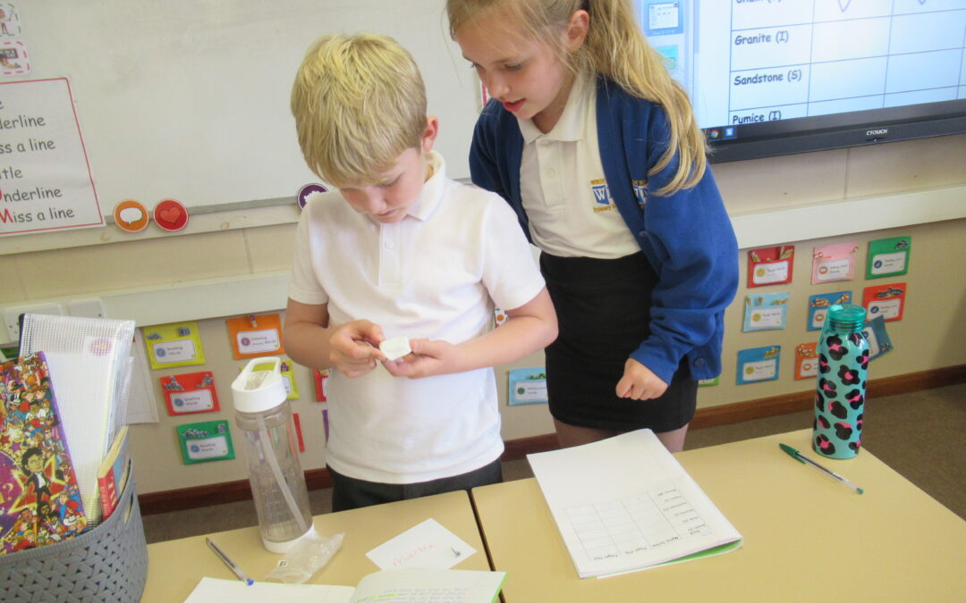 Rock Detectives!