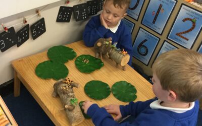 A busy week for the Ladybirds
