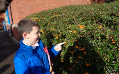 Our Autumn Walk