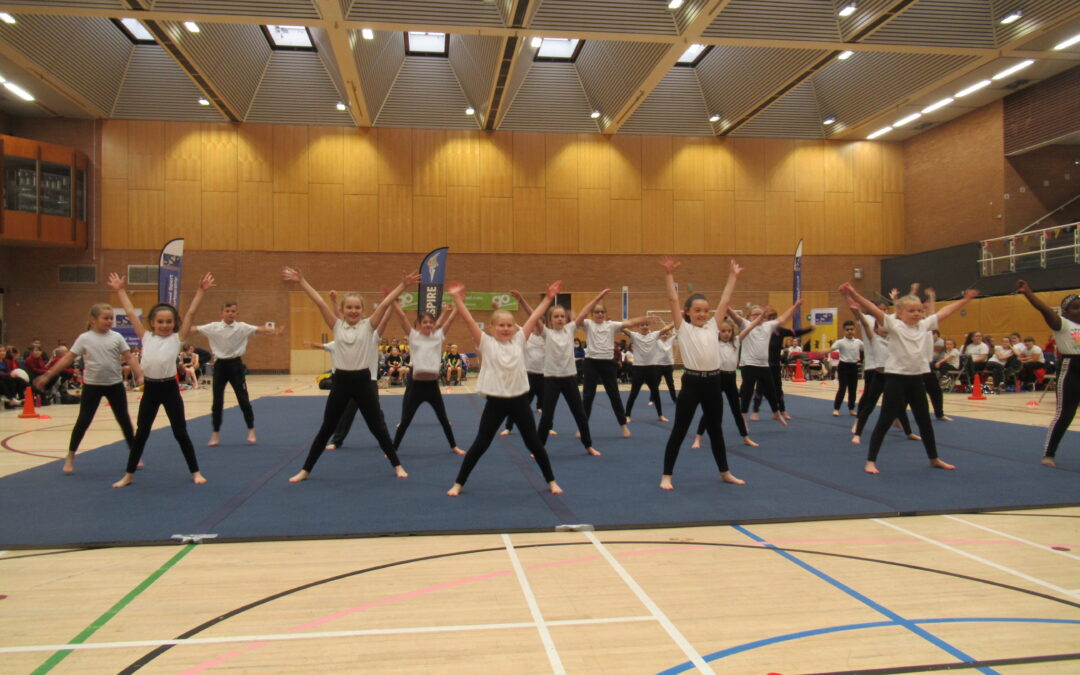 Tulips are Full of Cheer