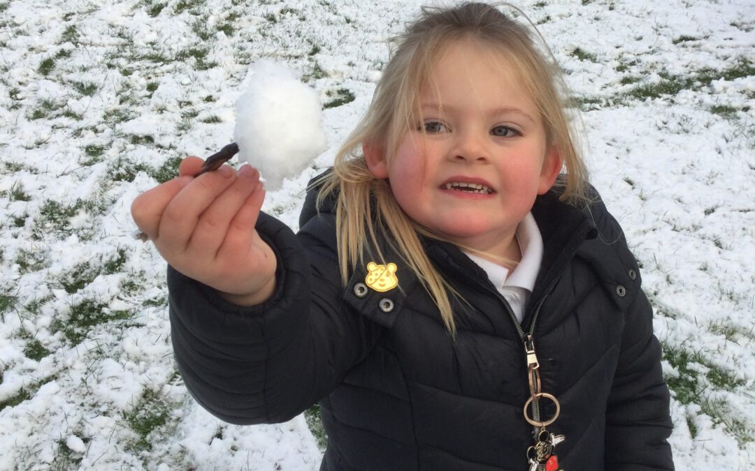 Dragonflies have fun in the snow.