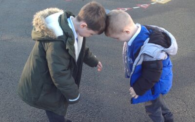 Owls explore how forces effect movement in their bodies