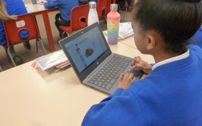 Branching Out in LKS2