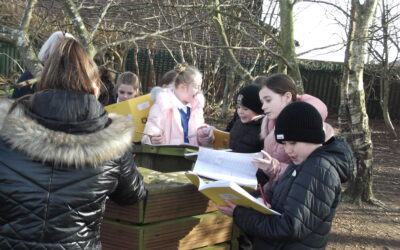 Fraction Scavenger Hunt in Year 5