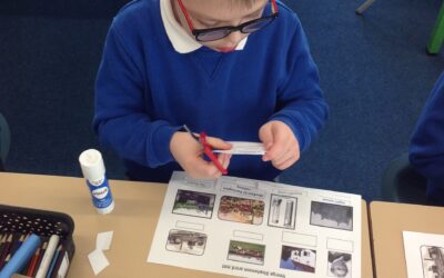 Owls create a word bank for their non chronological reports