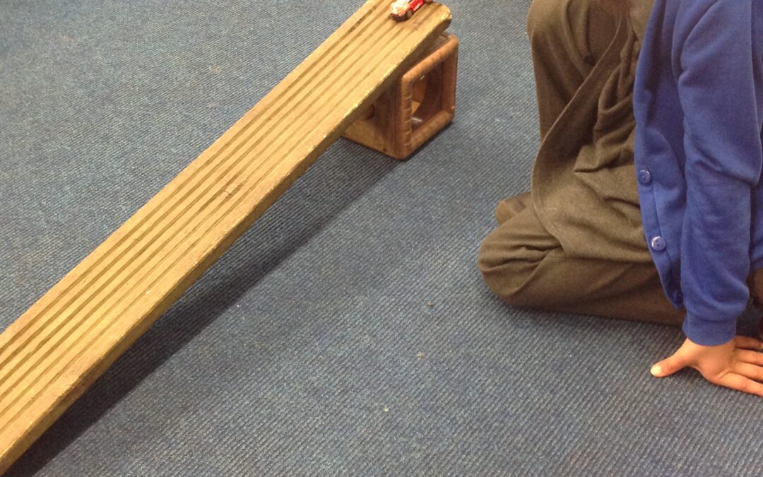 Owls carryout a fair test investigation