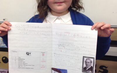 Owls create historical non-chronological reports