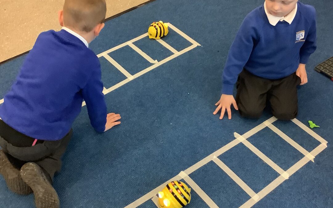 Exploring Beebots