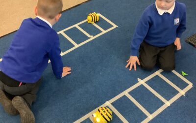 Exploring Beebots