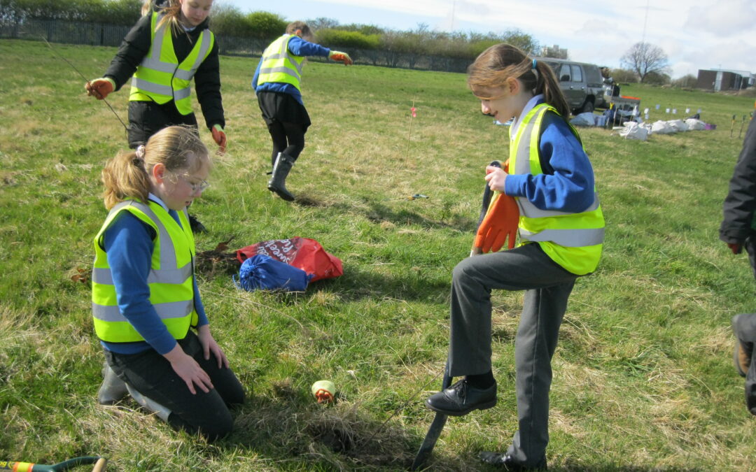 Tree Planting at Whitehills